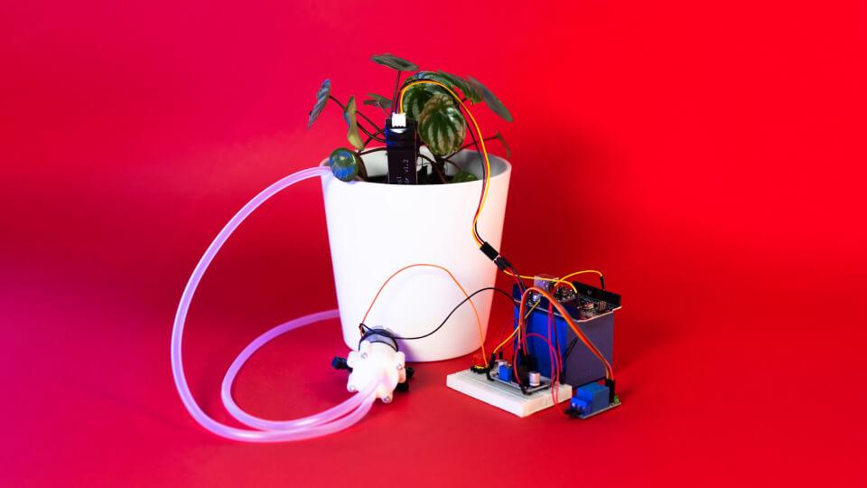 Advanced Level 2: Smart Garden